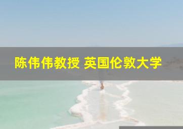 陈伟伟教授 英国伦敦大学